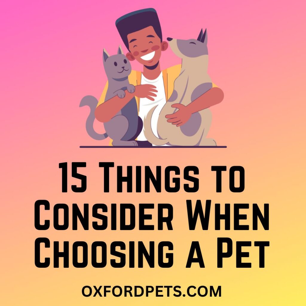 15 Things to Consider When Choosing a Pet