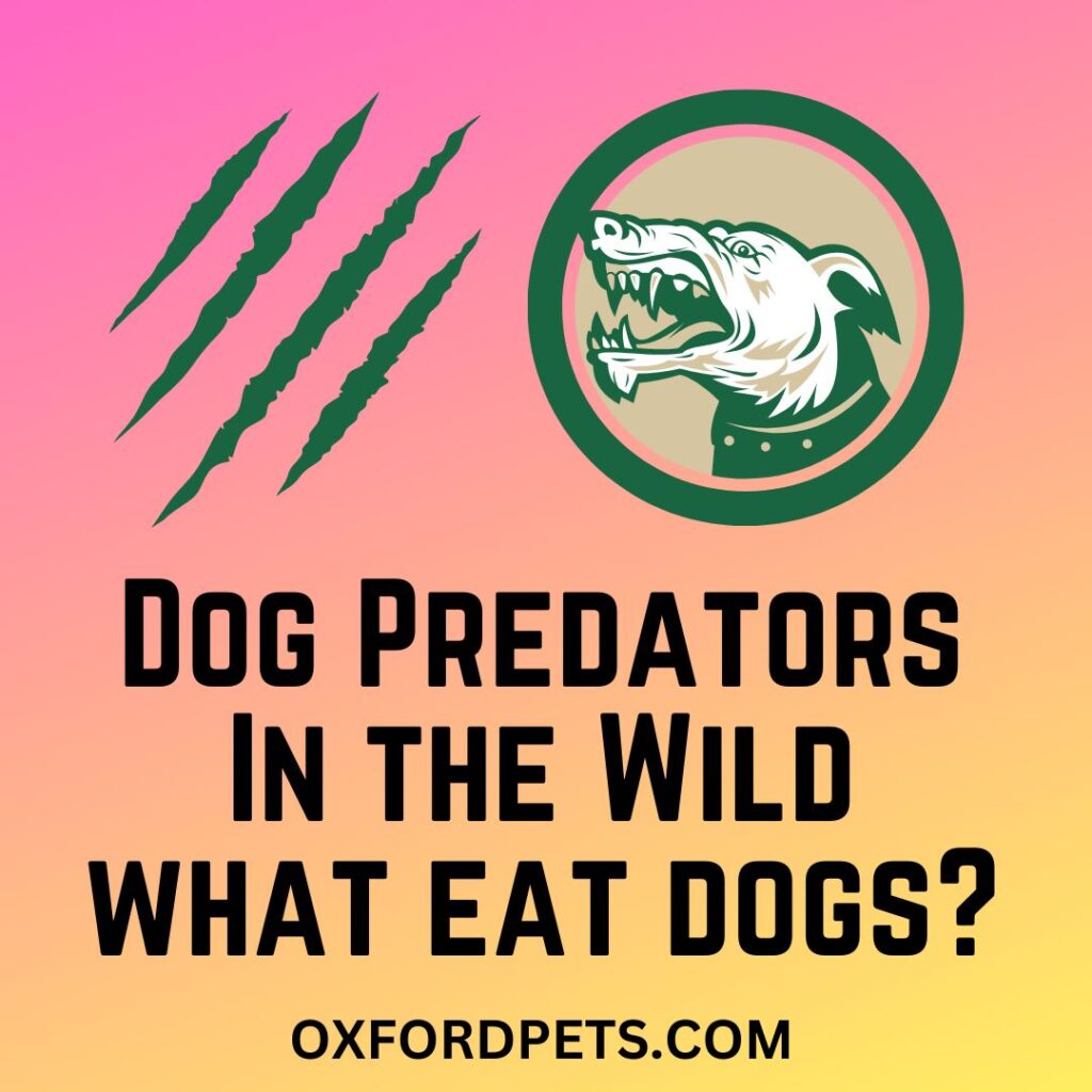 13 Animals That Can Kill and Eat Dogs: (Dog Predators In the Wild)