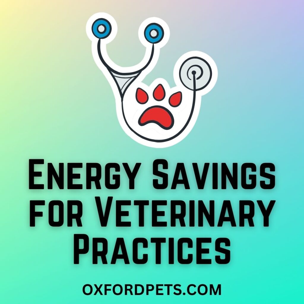 How to Navigate Energy Savings for Veterinary Practices